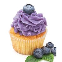 Начинка термост. 4.1.6.1. "Черника", 20 кг