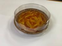 Крышка для формы ПАЙ ЛАМИНИР .160*30 прозрачная (50ш) арт. TP16030_EW_BR