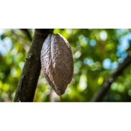 Шоколад молочный "ОРИДЖН Вьетнам" 45%, 250 гр