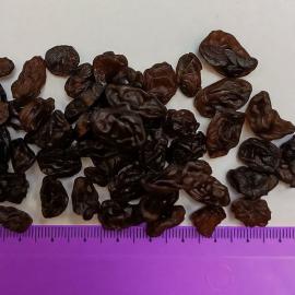 Виноград сушеный коричневый Малояр, 500 гр (фасовка ИМ)