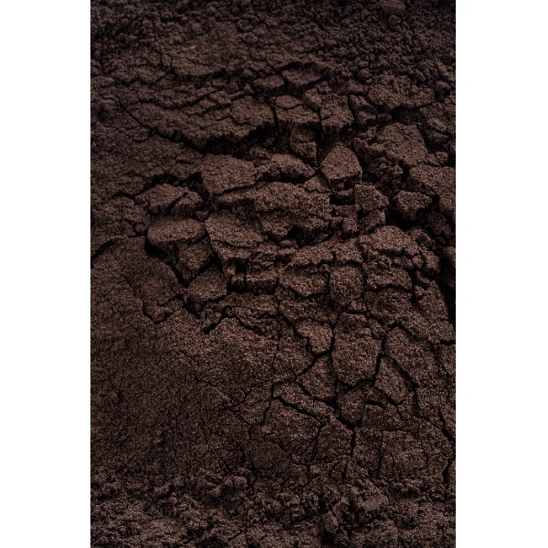 Какао-порошок алкализ. с пониж.сод.жира (10-12%) Noir Intense, арт. DCP-10BLACK-89B, 1кг