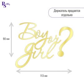 Топпер "Boy or girl", 113 мм*90 мм, арт.114, акрил
