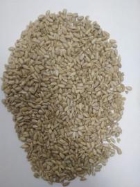 Ядро семени подсолнечника, 25 кг (Элика)